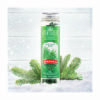 SCENTSICLES WHITE WINTER FIR SCENT
