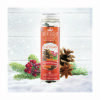 SCENTSICLES SPICED PINE SCENT