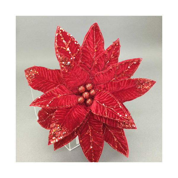 Red Poinsettia