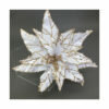 WHITE GOLD EDGE POINSETTIA