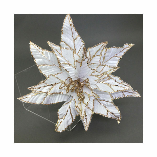 WHITE GOLD EDGE POINSETTIA