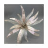 CHAMPAGNE STARBURST FLOWER
