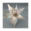 CHAMPAGNE POINSETTIA