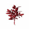 23" GLITTER PITTOSPORUM SPRAY