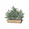 50cm Frosted Mini Triple Tree In Planter (20")