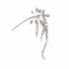 CHAMPAGNE BERRY STEM