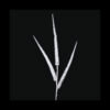 WHITE GLITTER STEM