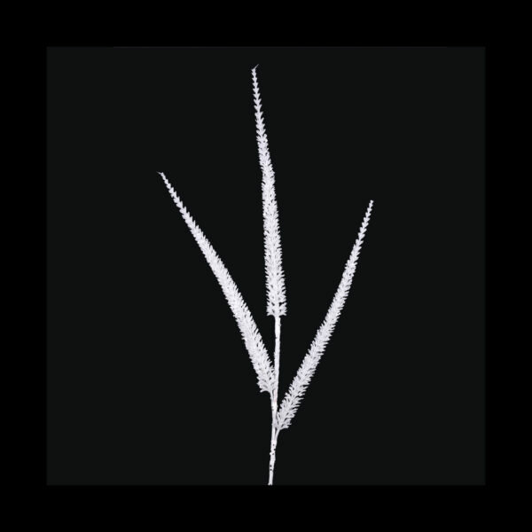 WHITE GLITTER STEM