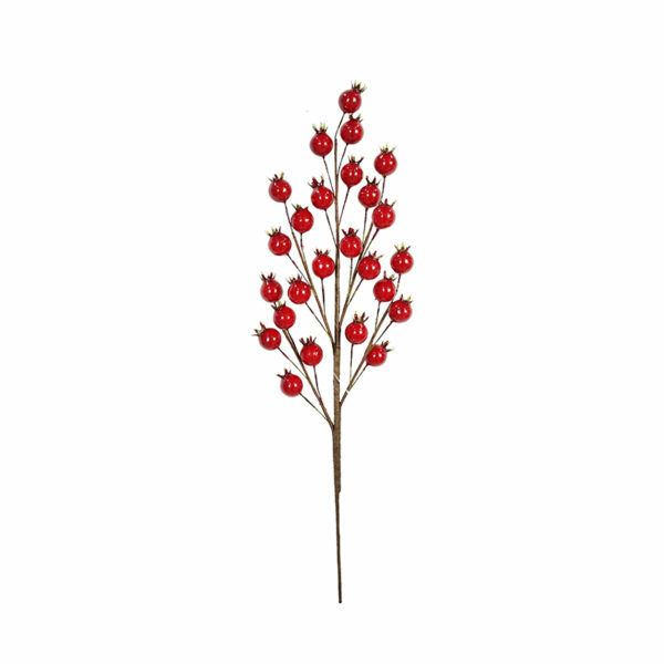 CHRISTMAS APPLE BERRY PICK