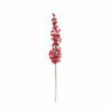 RED GLOSSY BERRY SPRAY
