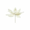 CLIP CREAM POINSETTIA FLOWER