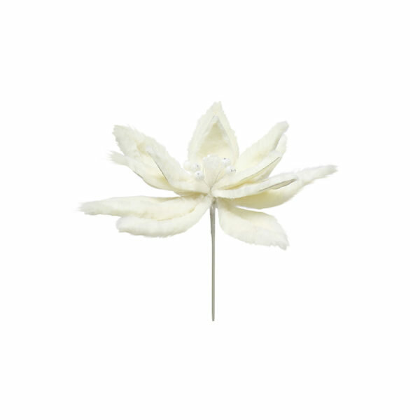 CLIP CREAM POINSETTIA FLOWER