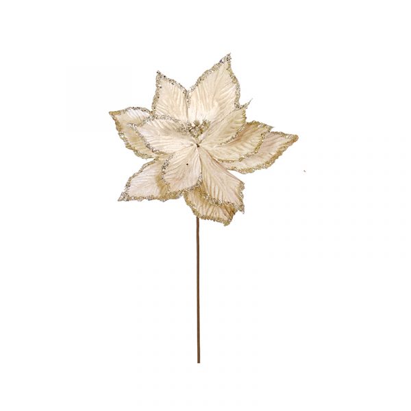 POINSETTIA 50cm CHAMPAGNE 4 STYLES
