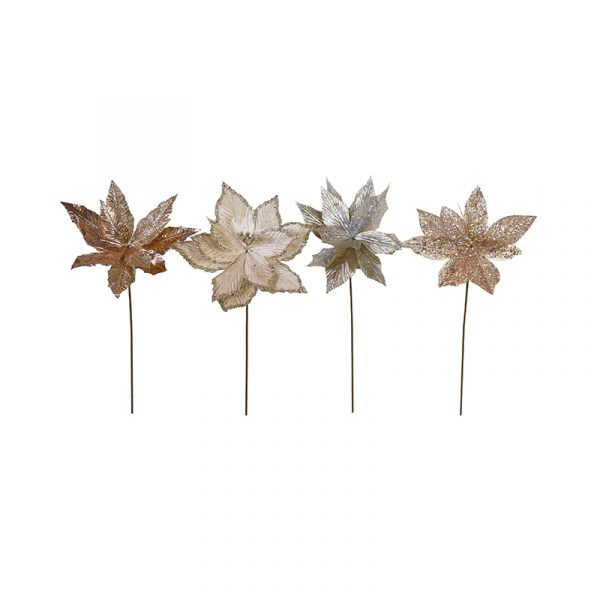 POINSETTIA 50cm CHAMPAGNE 4Asst