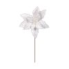 White Poinsettia