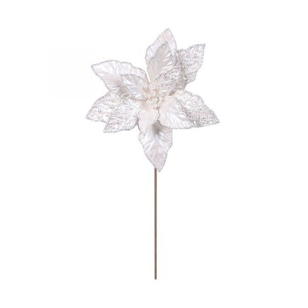 White Poinsettia