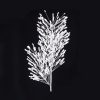 White Glitter Spray Stem 80cm