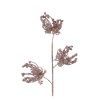 Rosegold Queen Anne Lace Stem 65cm