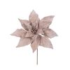 Velour Champagne 27cm With 45cm Stem