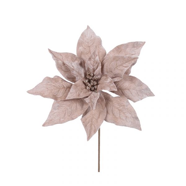 Velour Champagne 27cm With 45cm Stem