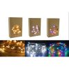 10m LED STARRY CHRISTMAS LIGHTS 100 PIECES - MULTIPLE STYLES