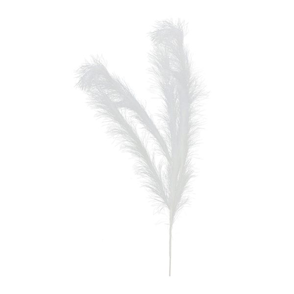 PAMPAS GRASS SPRAY