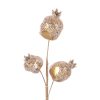 CHAMPAGNE POMEGRANATE STEM 51CM
